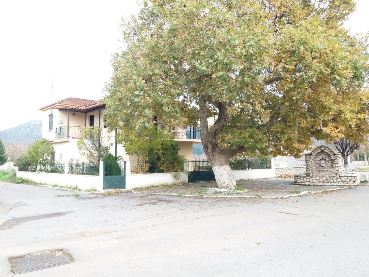 Apartment Galini *